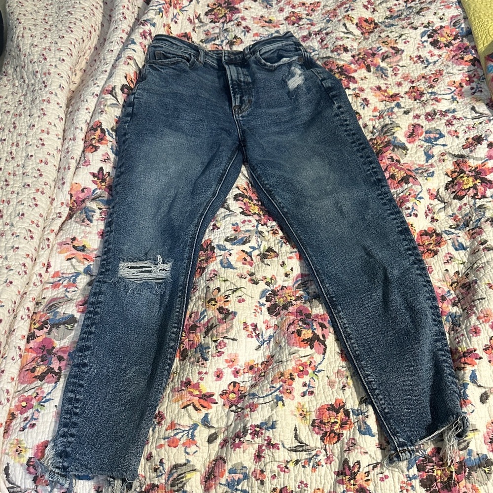 American Eagle Outfitters Dark Wash Denim Shorts